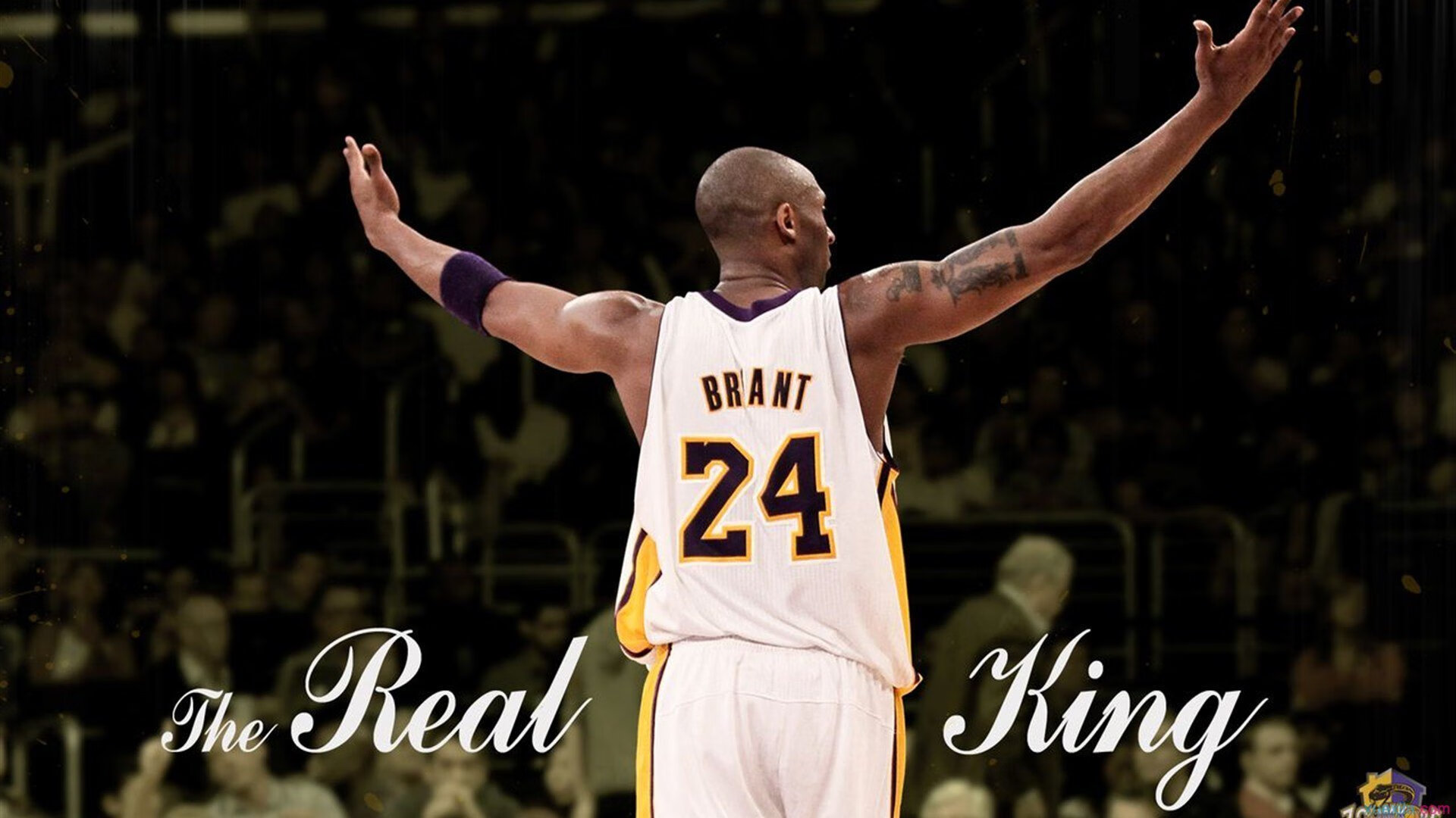 技术动作细节数据背后的故事，技术动作的形成过程